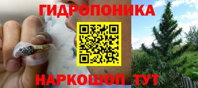 МДПВ Обь